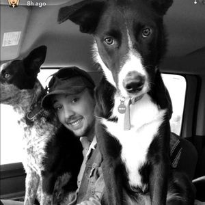 Meet your Posher, Sterling